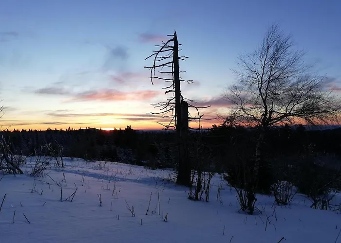 Apartment Zum Kirschhof Hofbieber